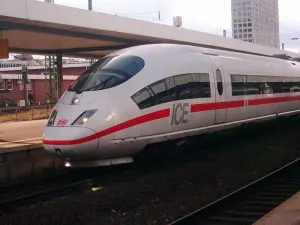 Pudel im Zug mitnehmen