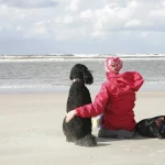 Mit dem Pudel die schönste Zeit des Jahres zusammen verbringen. Urlaub mit Pudel am Meer.