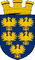 Pudel Züchter und Welpen in Niederösterreich