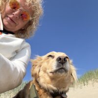Suche Königspudel