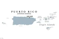 Pudel Züchter in Puerto Rico,Estado Libre Asociado de Puerto Rico Pudel Züchter in Puerto Rico,Estado Libre Asociado de Puerto Rico