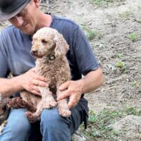 Ich heiße Meryl Sheep ...