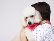 Man hug white poodle dog